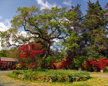 Entrance Circle