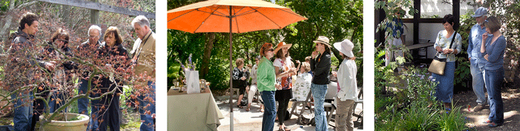 sale events workshops
